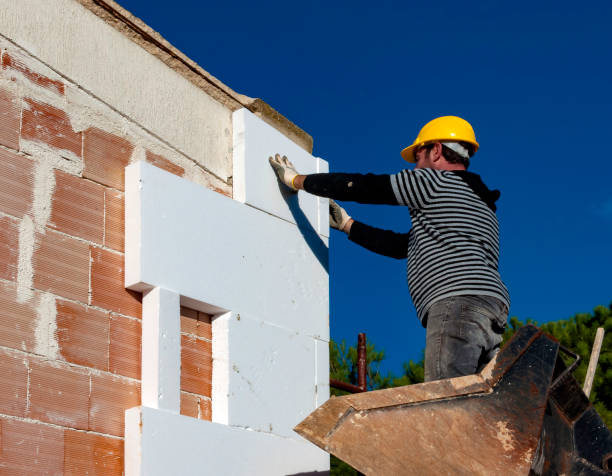 Best Insulation Inspection Services  in Warsaw, MO