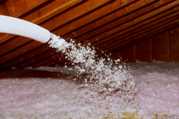 Best Wall Insulation Contractor  in Warsaw, MO