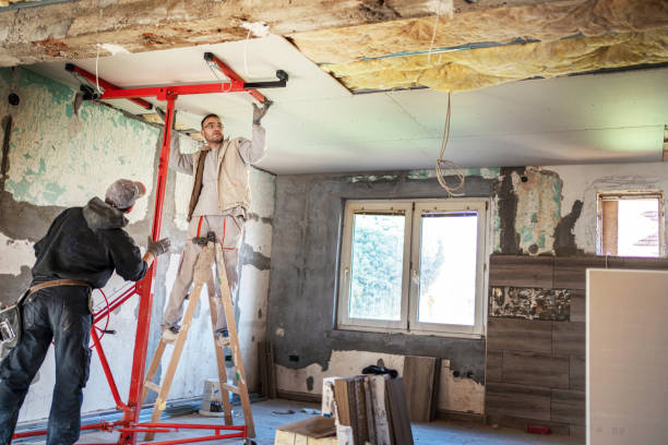 Best Insulation Contractor Near Me  in Warsaw, MO