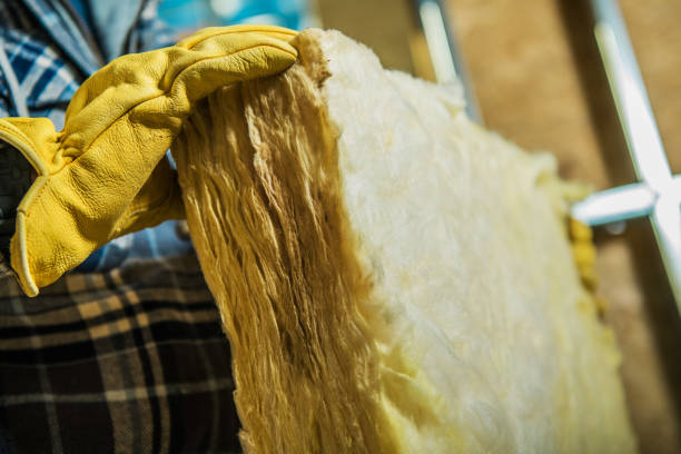 Best Energy-efficient Insulation  in Warsaw, MO