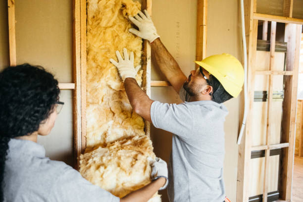 Best Insulation for New Construction  in Warsaw, MO