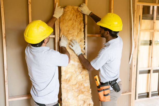 Best Home Insulation Services  in Warsaw, MO
