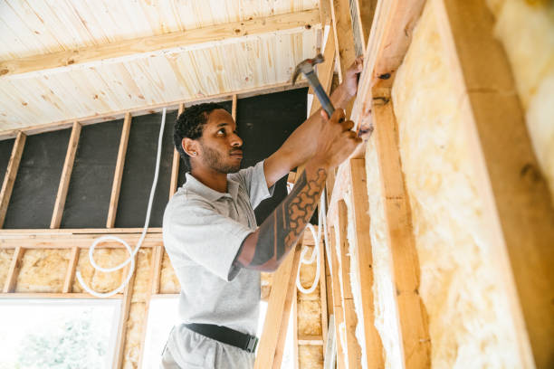 Best Local Insulation Services  in Warsaw, MO