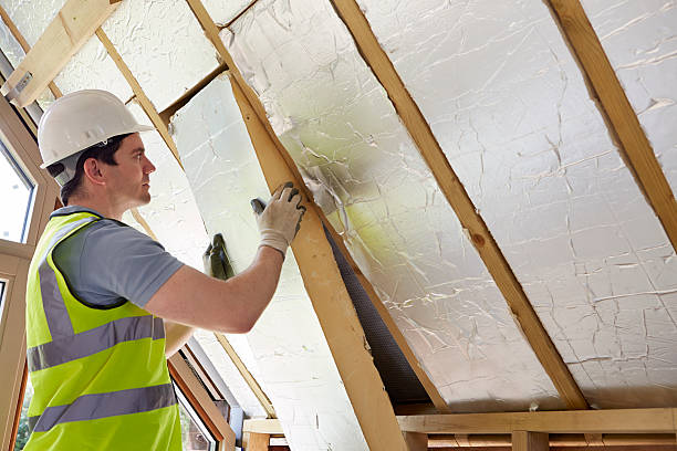 Best Attic Insulation Installation  in Warsaw, MO