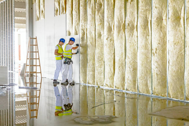 Best Fiberglass Insulation  in Warsaw, MO